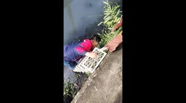 Passerby climbs into canal to rescued stranded stray dog