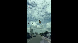 Giant lizard kite spotted flying in Bintulu, Malaysia