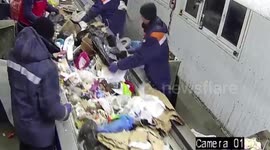 Cat rescued from conveyor at waste facility in Ulyanovsk, Russia