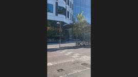 Wild moose spotted roaming streets of Stockholm, Sweden