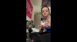 Dog sneaks Cheerios and tries to escape in Texas, USA