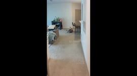 Emotional dog refuses to let owner leave for cruise in Florida, USA