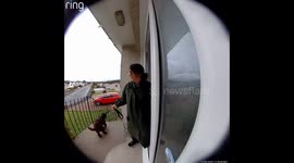 Dog pulls owner down stairs during walk in Carnoustie, UK
