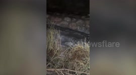 Spain: Torrential rain causes widespread flooding in Spain (2)