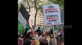 US: Massive Pro-Palestinian Protest in New York