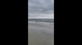 Afternoon walk with dogs at seaside in Emerald Isle, North Carolina, USA