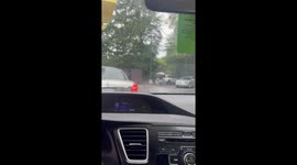 Elderly Couple's Parking Lot Picnic