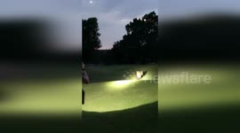 US: Over-Eager Pony Causes Late-Night Chase At Oklahoma City Golf Course