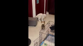 From Scared to Scary