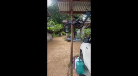 Typhoon Bualoi submerges homes in northern Thailand