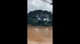 Typhoon Bualoi submerges family home in knee-deep floods in northern Thailand