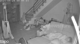 Wild python slithers across grandmother's legs as she sleeps on sofa