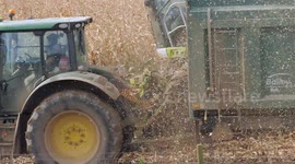 From Field to Feed: Harvesting Maize on Duchy Land in Cornwall, UK