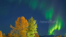 US: Fall colors meet northern lights in spectacular display in Alaska