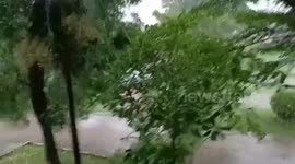 Typhoon Bualoi tears off roofs and trees in northeastern Thailand