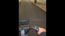 Pedaling to Freedom