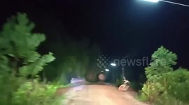 Grandfather, 79, trampled to death in his own garden by wild elephant