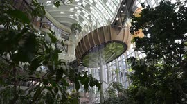 Thailand: Sunshine Forest concept at Halo Shopping Centre in Chongqing