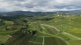 Slovenia: Slovenian winery feels pinch of US tariffs