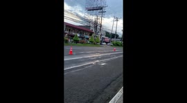 Runner carries pet iguana across her shoulders