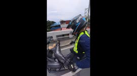 Motorbike rider rescues lost dog stranded on busy road