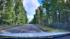 Driver 'lucky to be alive' after huge tree topples onto highway and hits car