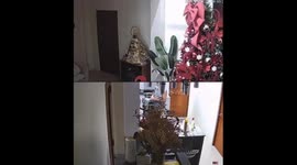 Dramatic CCTV captures Cebu family fleeing home during earthquake