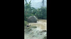 Water storage jar spins as it gets carried away by typhoon floods