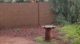 Steady rainfall brings welcome soak in Arizona, USA