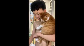 Cat upset after boy eats its treat in Tianjin, China