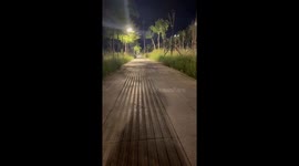 Puppy performs hard brake while running in China