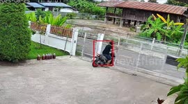 Dog turns escape into playful chase in Tak, Thailand