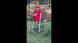 Boy in red charms TikTok with hummingbird helmet - sweet moment hits 3.6 million views