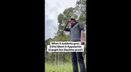 Appalachian forest falls eerily silent - TikTok clip hits 20.3 million views