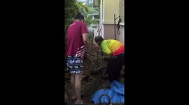 Homeowner shocked as 20ft python raids house at night