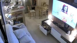 Earthquake shakes home as dogs panic in Pasil, Cebu, Philippines