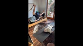 Dog rolls in sync with owner during workout in Newport Beach, USA