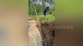 Villagers rescue pregnant cow from drowning in 10ft deep water trench