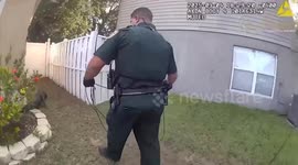 Deputies Safely Relocate Alligator Found on Florida Front Porch