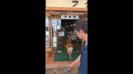 Japanese Deer Denied Entry To Restaurant