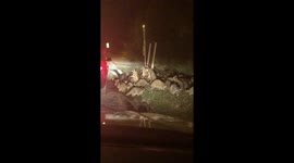 Roadside Raccoon Feeding Frenzy