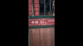 Horse’s cute reaction to carrot in Zhejiang, China