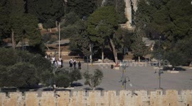 Israel: Jewish groups enter Jerusalem’s Al-Aqsa on Yom Kippur, man dragged by police