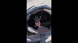 Motorcycle rider horrified to find baby snake in his helmet
