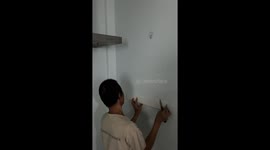 Kitten trapped in Thai massage parlour wall for two days is rescued