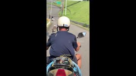 Bird hangs on owner's shoulder while riding