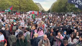 France: Pro-Palestine demonstration held in Paris