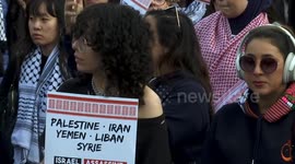 France: Pro-Palestine demonstration held in Paris (2)