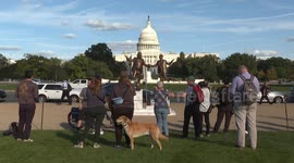 US: Trump-Epstein statue returns to DC's National Mall