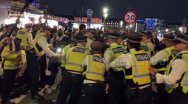 Palestine Protest Escalates: Police Drag Protester Near Parliament